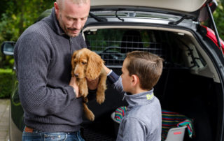 Ein Welpe wird im Arm gehalten und von einem Kind gestreichelt. Im Hintergrund ein Travall Hundegitter in einem Auto.
