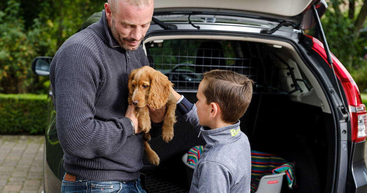 Ein Welpe wird im Arm gehalten und von einem Kind gestreichelt. Im Hintergrund ein Travall Hundegitter in einem Auto.